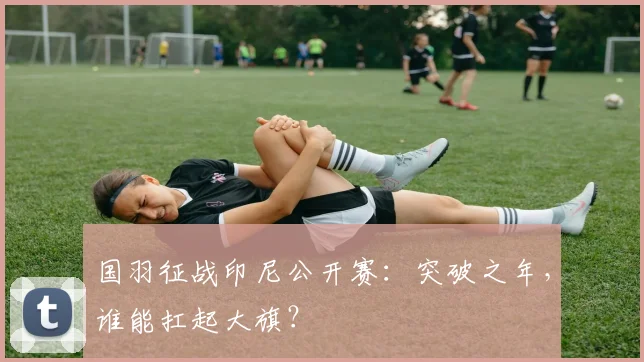 国羽征战印尼公开赛:突破之年,谁能扛起大旗?